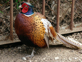 Смотреть фото Настройка на мороз Фото Настройка на мороз