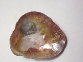 Фото Аномии