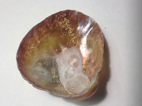 Фото Аномии