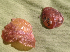 Фото Аномии