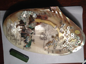 Смотреть фото Унионидообразные Фото Унионидообразные