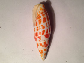 Смотреть фото Митры Фото Митры