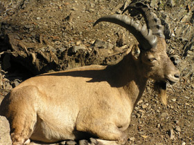 Фото Западнокавказский тур