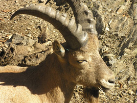 Фото Западнокавказский тур