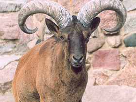 Смотреть фото Дагестанский тур Фото Дагестанский тур