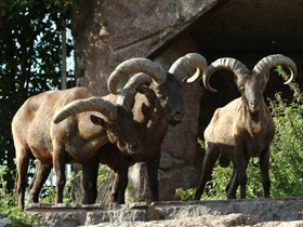Смотреть фото Дагестанский тур Фото Дагестанский тур