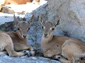 Смотреть фото Дагестанский тур Фото Дагестанский тур