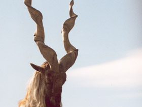 Смотреть фото Винторогий козёл Фото Винторогий козёл