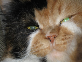 Фото Биография новорожденных