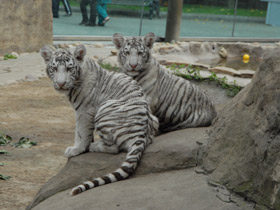 Фото Солнечные ванны