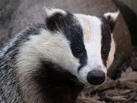 Фото Солнечные ванны