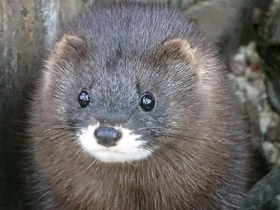 Фото Биография новорожденных