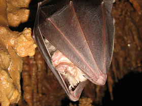 Смотреть фото Ночная жизнь Фото Ночная жизнь