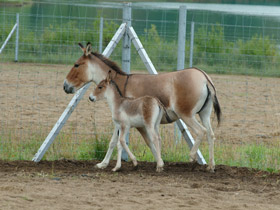 Смотреть фото Кианг Фото Кианг