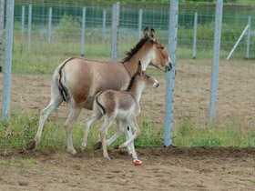 Смотреть фото Кианг Фото Кианг