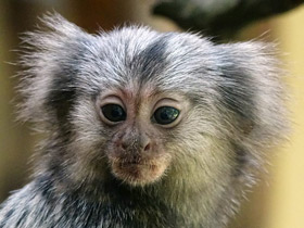 Фото Солнечные ванны