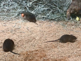 Смотреть фото Международный враг Фото Международный враг
