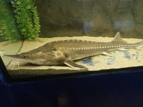 Смотреть фото Калуга Фото Калуга