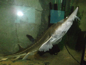 Смотреть фото Калуга Фото Калуга