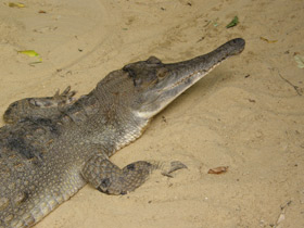 Смотреть фото Чего нельзя делать в зоопарке и почему Фото Чего нельзя делать в зоопарке и почему